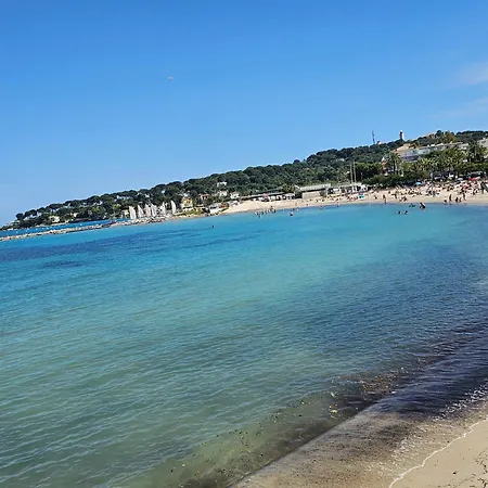 T2 Lumineux De Standing 45m2 Au Calme Proche à Pied Et Centre-ville-wifi-climatisation Appartamento Antibes