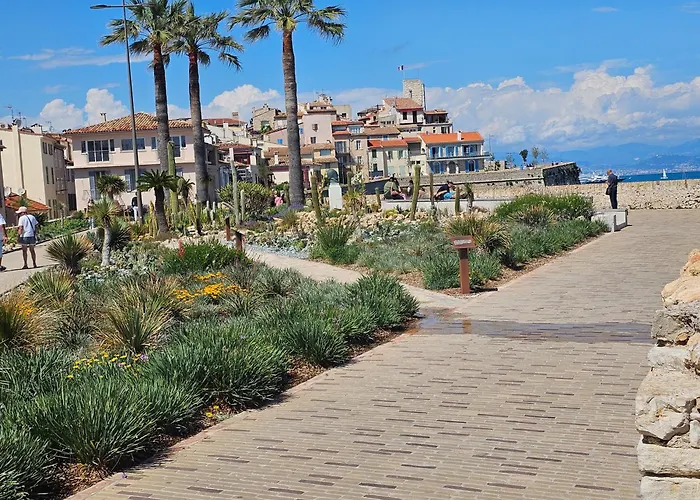 De Standing 45m2 Au Calme Proche Et Centre-ville-wifi-garage * Antibes